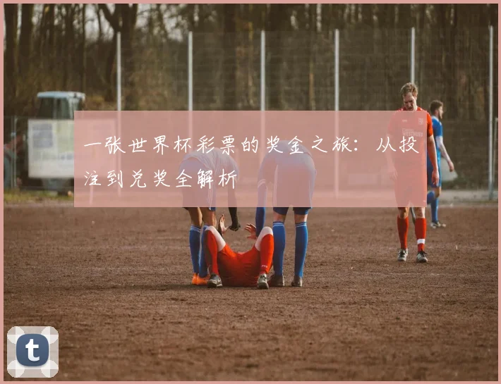 一张世界杯彩票的奖金之旅:从投注到兑奖全解析