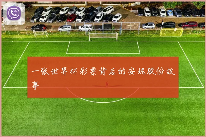 一张世界杯彩票背后的安妮股份故事