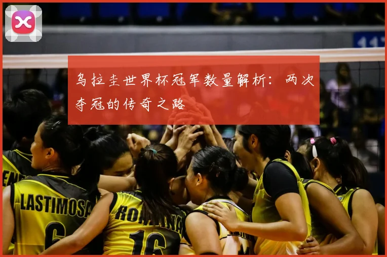 乌拉圭世界杯冠军数量解析：两次夺冠的传奇之路
