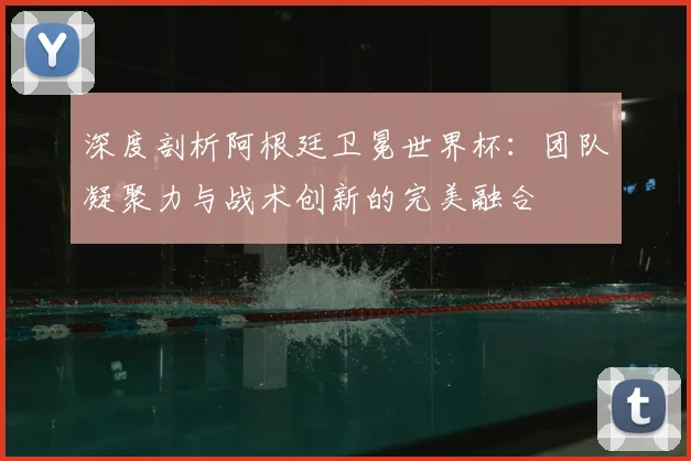 深度剖析阿根廷卫冕世界杯：团队凝聚力与战术创新的完美融合