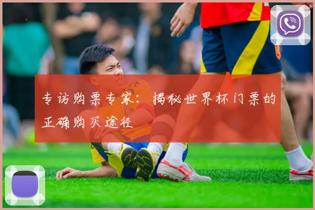 专访购票专家：揭秘世界杯门票的正确购买途径