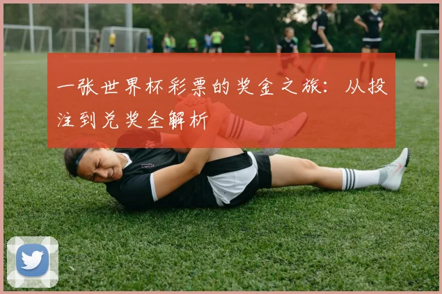 一张世界杯彩票的奖金之旅:从投注到兑奖全解析