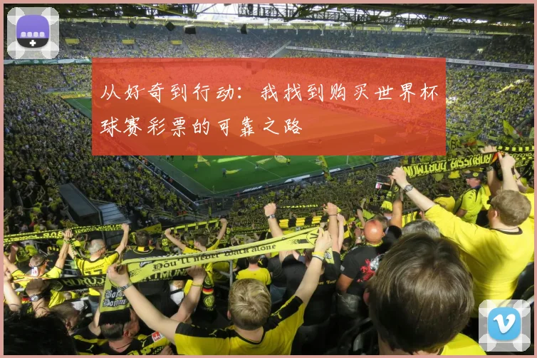 从好奇到行动:我找到购买世界杯球赛彩票的可靠之路