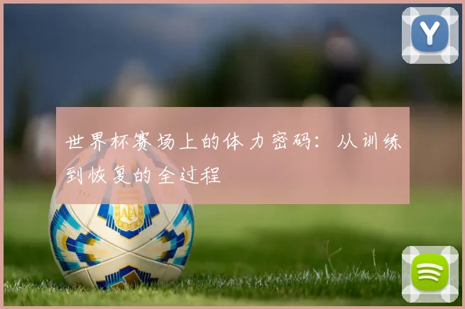 世界杯赛场上的体力密码:从训练到恢复的全过程